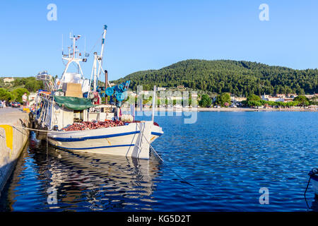 Angedockt bunte Boote und Angelausrüstung sind mit Seilen auf dem Moor am lokalen Port gebunden. Stockfoto