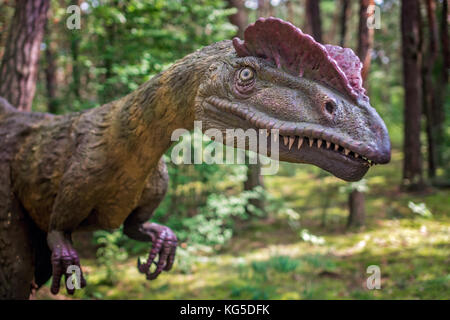 Solec kujawski, Polen - August 2017: Lebensgroßen allosaurus Dinosaurier Statue in einem Wald Stockfoto