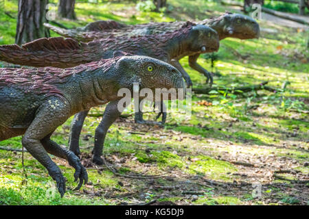 Solec kujawski, Polen - August 2017: Lebensgroßen raptor Dinosaurier Statuen in einem Wald Stockfoto