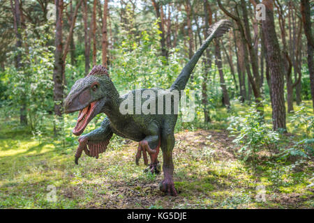 Solec kujawski, Polen - August 2017: Lebensgroßen raptor Dinosaurier Statue in einem Wald Stockfoto
