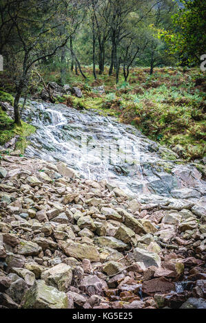 Herbst fällt über den Wald in der Nähe von Coniston im Nationalpark Lake District, Cumbria Stockfoto