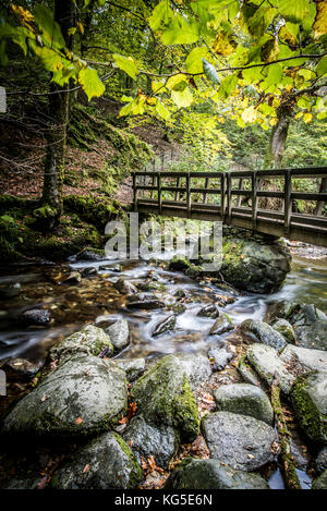 Lieferbar Ghyll Kraft in der Nähe von Ambleside im Nationalpark Lake District in Cumbria, Großbritannien Stockfoto