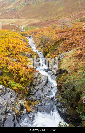 Ein Strom fließt über Felsen auf einer adlerfarn bedeckt Hang in der Nähe von Coniston im Lake District National Park Stockfoto