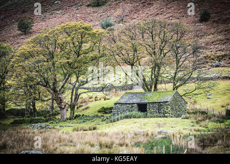 Herbst fällt über den Wald in der Nähe von Coniston im Nationalpark Lake District, Cumbria Stockfoto