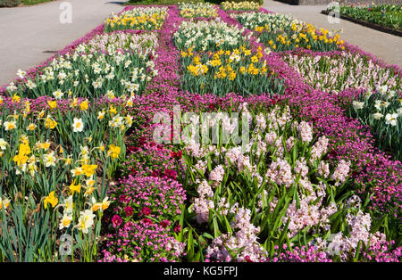 Botanischer Garten München-Nymphenburg (Botanischer Garten), ca. 16, 000 Pflanzen angebaut werden, Feder, Blumenbeet Stockfoto