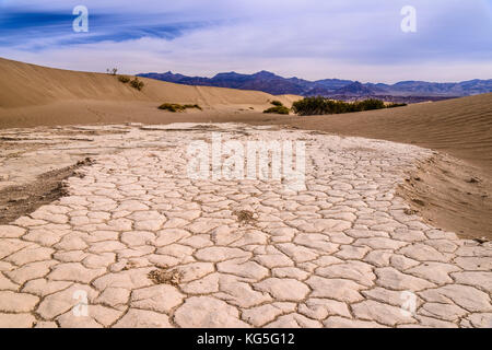 Die USA, Kalifornien, Death Valley National Park, Stovepipe Wells, Mesquite flachen Sand Dünen in Richtung Grapevine Mountains Stockfoto