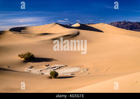 Die USA, Kalifornien, Death Valley National Park, Stovepipe Wells, Mesquite flachen Sand Dünen in Richtung Grapevine Mountains Stockfoto