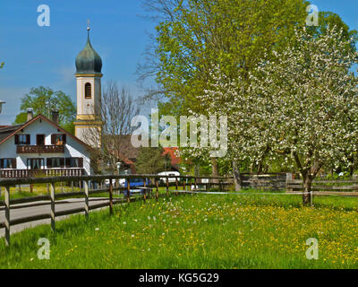 Deutschland, Bayern, Froschhausen am Riegsee, St. Leonhard Kirche, Straße, Wohnhäuser, blühender Obstbaum, Wiese, Zäune, blauer Himmel, Frühling Stockfoto