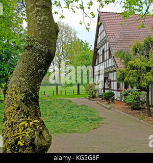 Tor aus Brettern am Giebelende des Fachwerkstalls für vollblut-araber, Gestüt Ismer in Ströhen-Wagenfeld, Niedersachsen, Deutschland Stockfoto