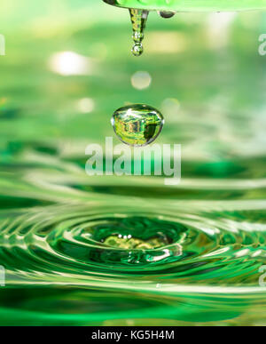 Tropfen vier Jahreszeiten - Frühling. Stockfoto