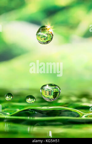 Tropfen vier Jahreszeiten - Frühling. Stockfoto