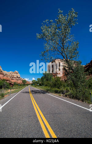 Die Straße führt durch das Grand Staircase Escalante National Monument, Utah, USA Stockfoto