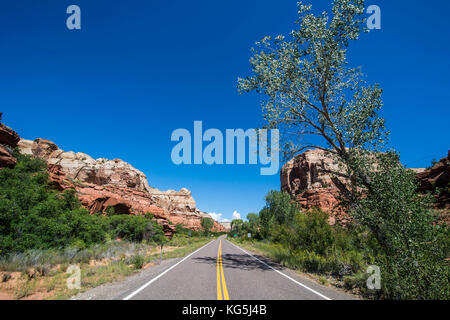 Die Straße führt durch das Grand Staircase Escalante National Monument, Utah, USA Stockfoto