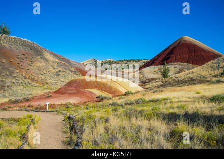 Mehrfarbiger Schichtenberg in der Painted Hills Unit im John Day Fossil beds National Monument, Oregon, USA Stockfoto