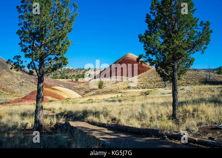 Mehrfarbiger Schichtenberg in der Painted Hills Unit im John Day Fossil beds National Monument, Oregon, USA Stockfoto