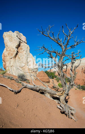 Stein Monolith in der kodakchrome Basin State Park, Utah, USA Stockfoto