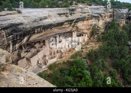 Der Cliff Palace indisches Wohnung, Mesa Verde National Park, Colorado, USA Stockfoto