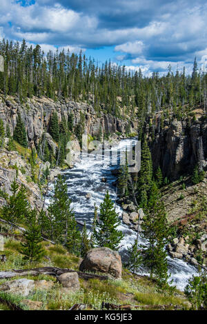 Über den Lewis River blicken, Yellowstone National Park, Wyoming, USA Stockfoto