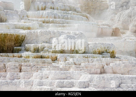 Travertin Terrassen Terrassen in Mammoth Hot Springs, Yellowstone National Park, Wyoming, USA Stockfoto