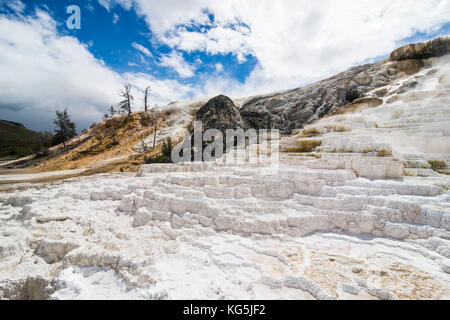 Travertin Terrassen Terrassen in Mammoth Hot Springs, Yellowstone National Park, Wyoming, USA Stockfoto