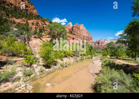 Virgin River durch den Zion National Park, Utah, USA Stockfoto