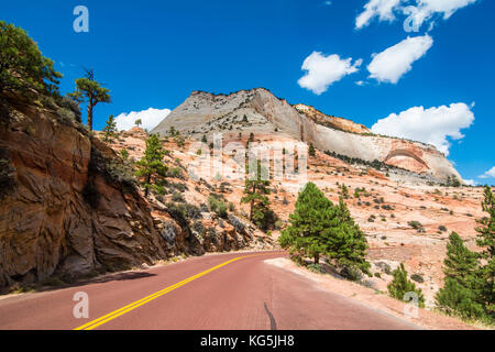 Straße durch den Zion National Park, Utah, USA Stockfoto