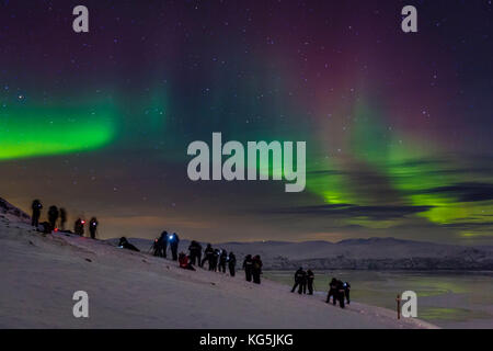 Die Menschen genießen und Fotografieren der Aurora borealis oder northern lights am Abisko sky Station, abisko, Lappland, Schweden. kalte Temperaturen von bis zu -47 Grad Celsius. Stockfoto