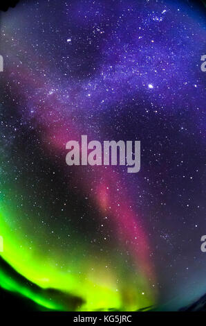 Starry evening with the Aurora Borealis or Northern Lights and the Milky Way Galaxy, Abisko, Lapland, Sweden Stockfoto