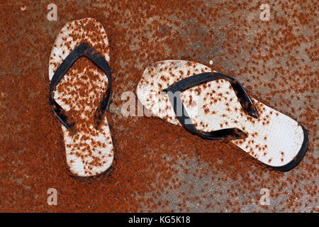 Kinder Krabben Migration durch Flying Fish Cove, gecarcoidea Natalis, Christmas Island, Australien Stockfoto