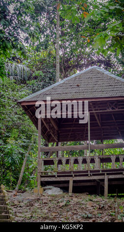 Holz- observatorium Schutz durch dichten, grünen Vegetation im Nationalpark in Indonesien umgeben Stockfoto