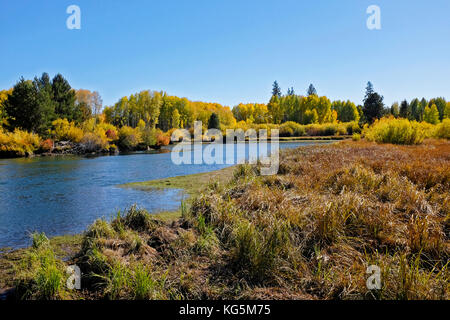 Ein Blick auf den Deschutes River im Herbst als Aspen Bäume Farbe von Grün zu Gold, in der Nähe von Bend, Oregon Stockfoto