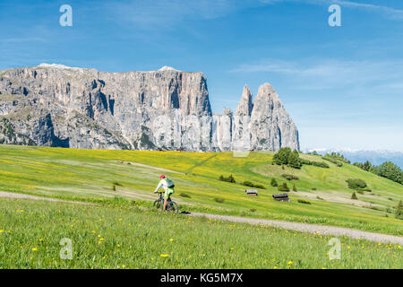 Seiser Alm, Dolomiten, Südtirol, Italien. Ein Mountainbiker auf der Seiser Alm Stockfoto