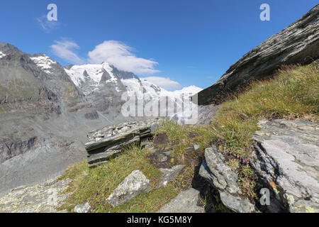 Die Großglockner-Gipfel als von der Kaiser-Franz-Josefs-Höhe, Nationalpark Hohe Tauern, Kärnten, Österreich gesehen Stockfoto