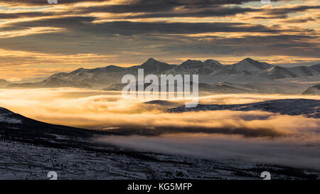 Dovrefjell Nationalpark, Oppdal, Norwegen Stockfoto