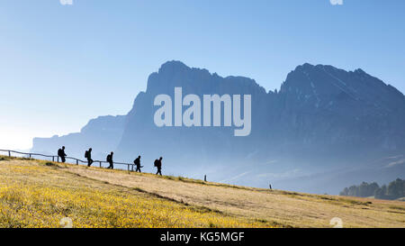 Europa, Italien, Südtirol, Bozen, Dolomiten, Wanderer zu Fuß in einer Reihe auf der Seiser Alm, im Hintergrund der Langkofel Stockfoto