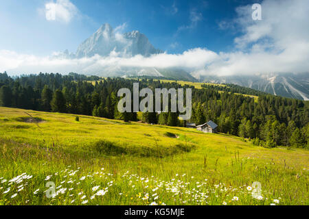 Ein Blick auf Würzjoch (Passo delle Erbe) mit Peitlerkofel im Hintergrund, Provinz Bozen, Südtirol, Trentino Alto Adige, Italien Stockfoto