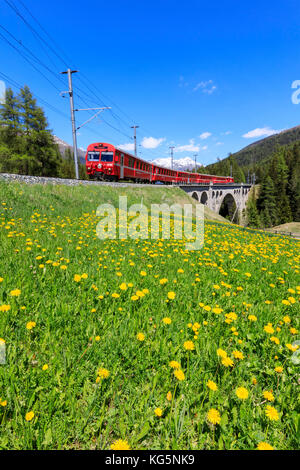 BERNINA Express Zug auf Cinuos-chel viadukt im Frühjahr, St.Moritz, Kanton Graubünden, Maloja Schweiz, Europa Stockfoto