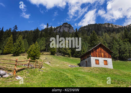 Ein Blick auf die Natur Pfad von Athina, Park Puez, Villnösser Tal, Provinz Bozen, Südtirol, Trentino Alto Adige, Italien, Europa Stockfoto