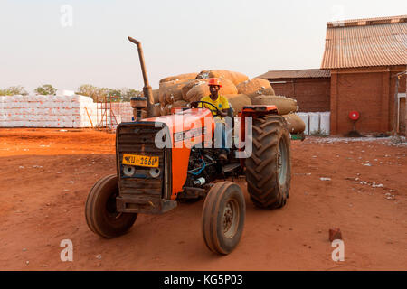 Afrika, Malawi, Balaka. Baumwollverarbeitung Stockfoto