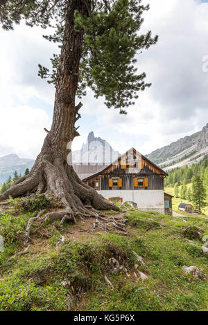 Hütte Croda da Lago mit Berg Becco di Mezzodì im Hintergrund, Cortina d'Ampezzo, Belluno, Venetien, Italien Stockfoto