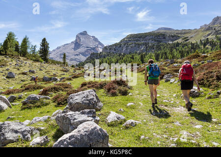 Italien, Südtirol, Bozen Bezirk, St. Vigil in Enneberg, Wanderer in Fanes Tal mit dem Berg Piz taibun im Hintergrund Stockfoto