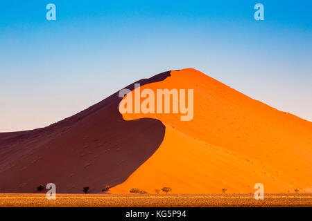 Namib Wüste, Dünen. Namibia, Afrika Stockfoto