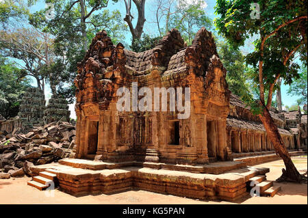 Kambodscha, Siem Reap, Ta Prohm Tempel Ruinen Stockfoto