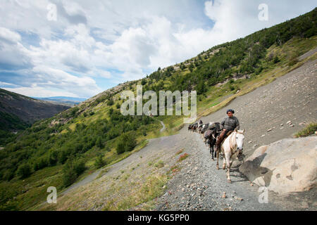 Cile, Patagonien, Torres del Paine National Park, Las Torres Stockfoto