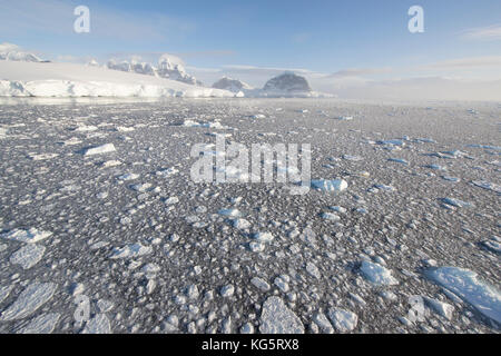 Packeis und Landschaft, Antarktis Stockfoto