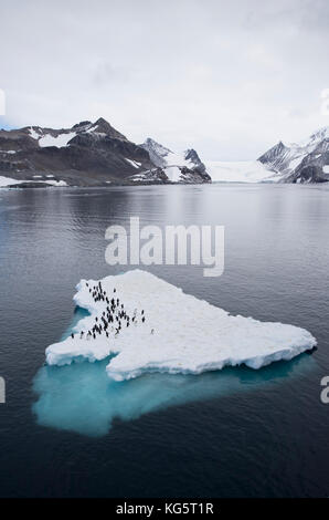 Adelie Pinguine auf Eis, Antarktis Stockfoto