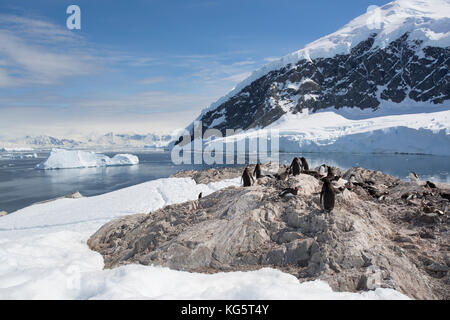 Neko Harbour, Antarktische Halbinsel Stockfoto