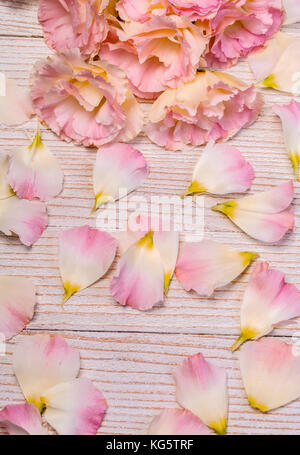 Romantische Blumenmuster Rahmen Hintergrund/Valentines Tag Hintergrund/rosa Blüten auf hölzernen Hintergrund Stockfoto