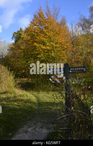 Schild für den Ridgeway Path auf einer Route durch die Rifle Range, Pulpit Wood, Cadsden, Buckinghamshire, UK. Mit Herbstfarben, Herbst, rustikalen Blättern Stockfoto