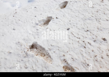 Footprint auf Schnee Stockfoto